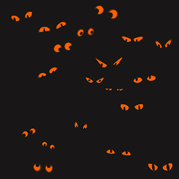 PWRH154.BLACK Nocturnal Forest Eye See You