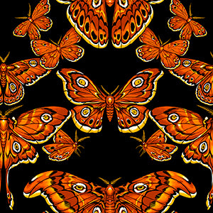 PWRH159.BLACK Nocturnal Forest Flutter