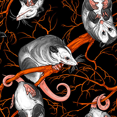 PWRH160.BLACK Nocturnal Forest Opossum Orchard