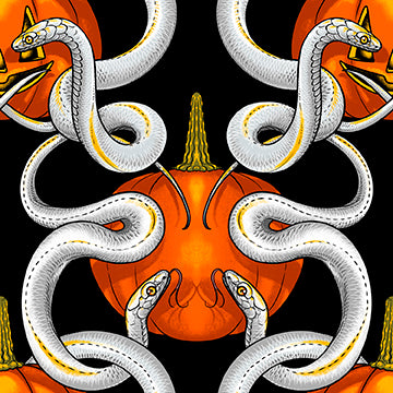 PWRH163.BLACK Nocturnal Forest Sssnakes