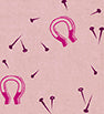 PWSF016.PINK Old Quilts, New Life The Lucky Print