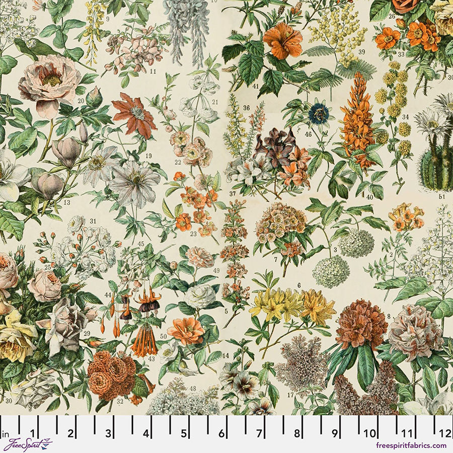 PWTH237.ORANGE Palette Orange Botanical
