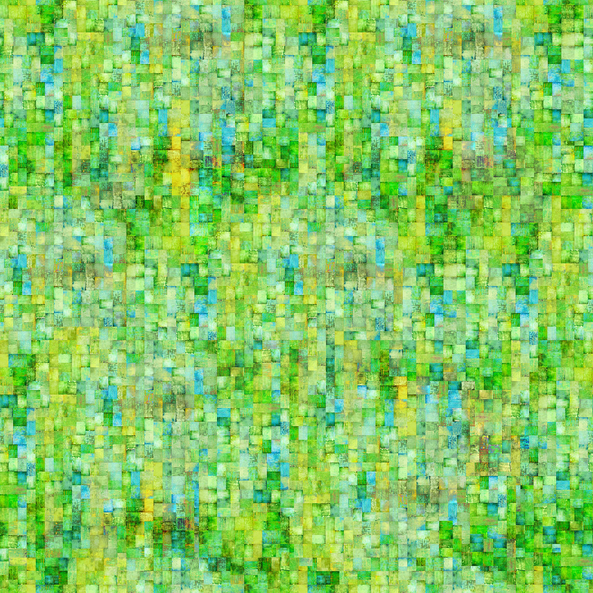 PWTH338.RAMBUNCTIOUS Fragments