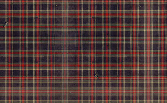 PWTH349.INK Winter Lodge Tartan