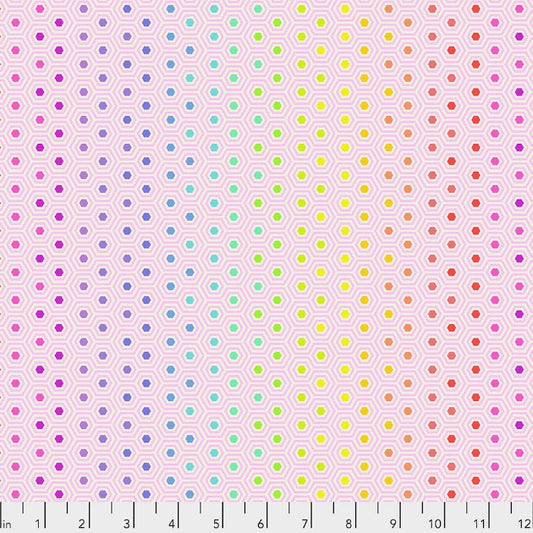 PWTP151.SHELL True Colors Hexy Rainbow