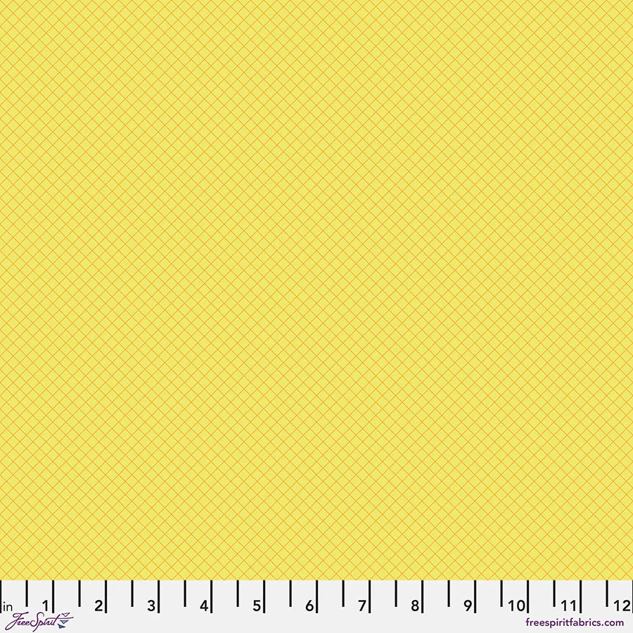 PWTP255.HIGHLIGHTER True Colors On the Grid