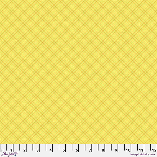 PWTP255.HIGHLIGHTER True Colors On the Grid