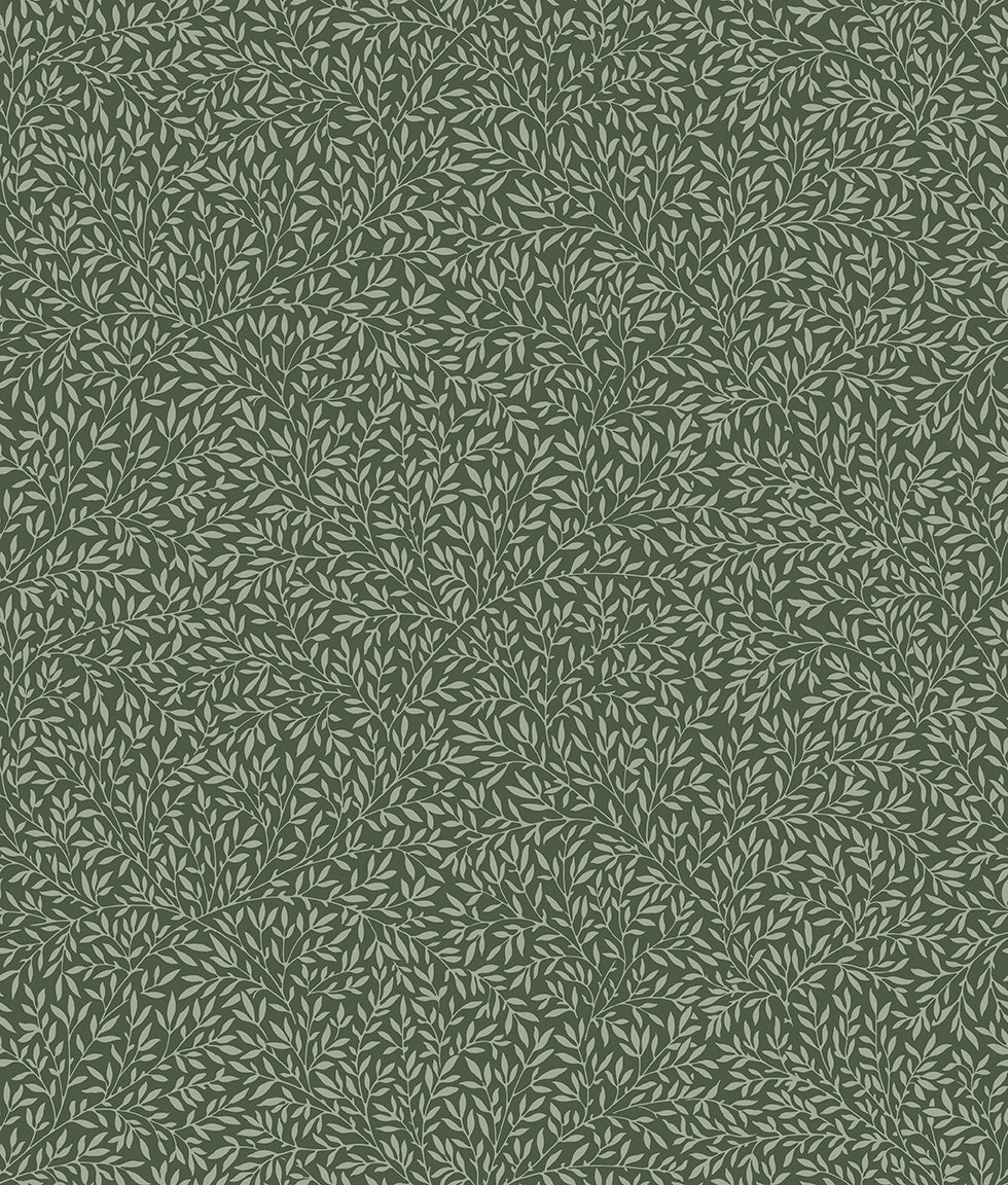 PWWM085.THYME Hastings Small Standen Lily