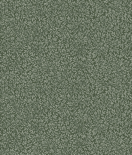 PWWM085.THYME Hastings Small Standen Lily