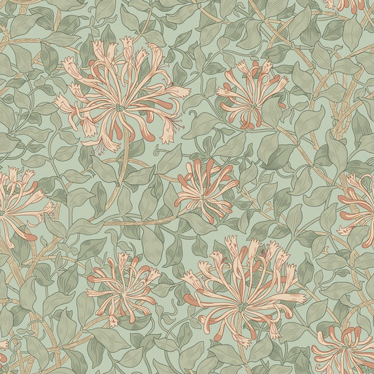 QBWM016.CORAL May Morris Honeysuckle