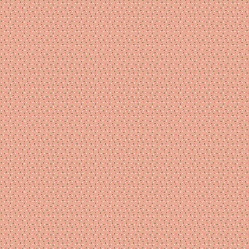 PA261110 My Name Is Pal Spotty Dotty