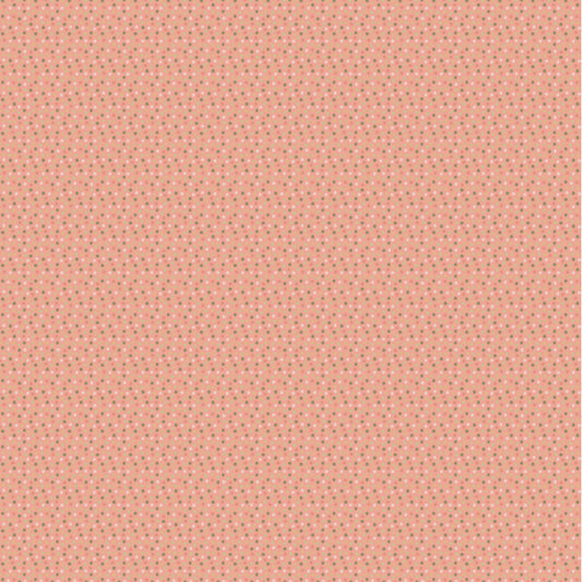 PA261110 My Name Is Pal Spotty Dotty
