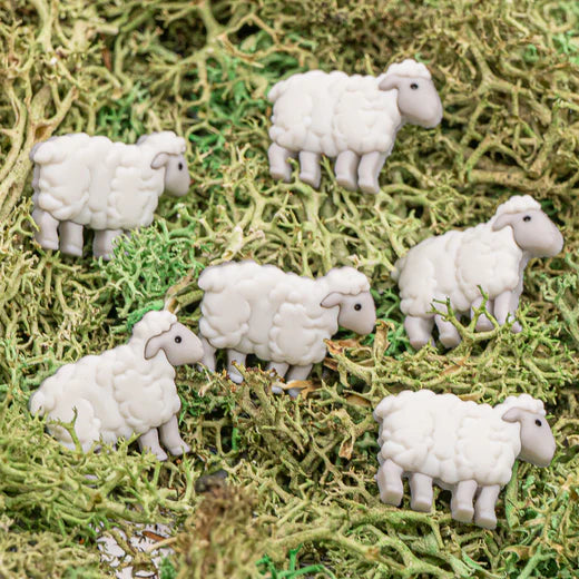 13584 Standing Sheep