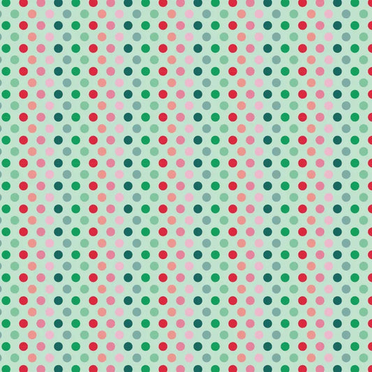 DVC1110 Fundamentals 1/4 Inch Spot Mint