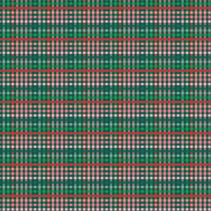 DVC1113 Fundamentals 1/8 Inch Check Green